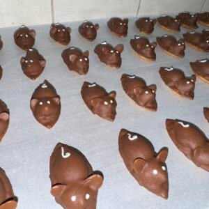 Souris au chocolat